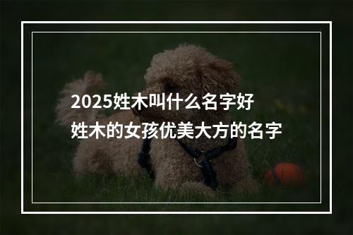 2025姓木叫什么名字好 姓木的女孩优美大方的名字