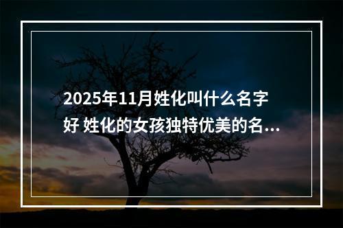 2025年11月姓化叫什么名字好 姓化的女孩独特优美的名字