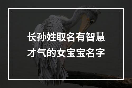 长孙姓取名有智慧才气的女宝宝名字