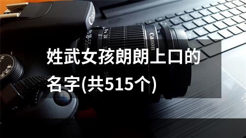 姓武女孩朗朗上口的名字(共515个)