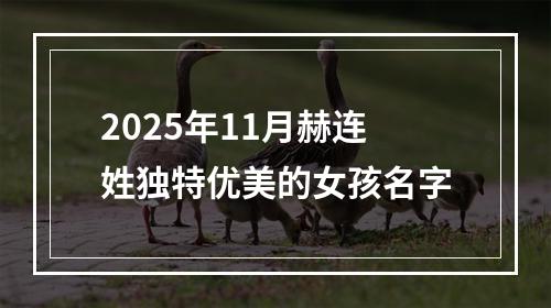2025年11月赫连姓独特优美的女孩名字