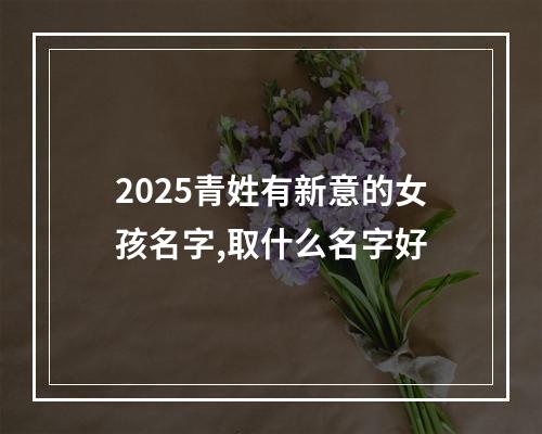 2025青姓有新意的女孩名字,取什么名字好