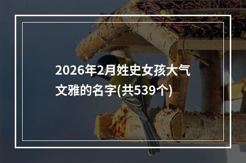 2026年2月姓史女孩大气文雅的名字(共539个)