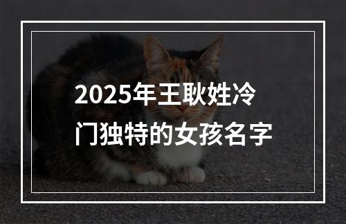 2025年王耿姓冷门独特的女孩名字