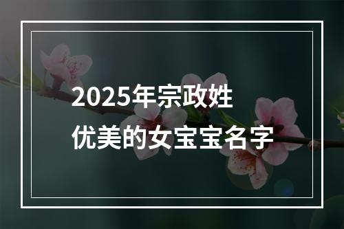 2025年宗政姓优美的女宝宝名字