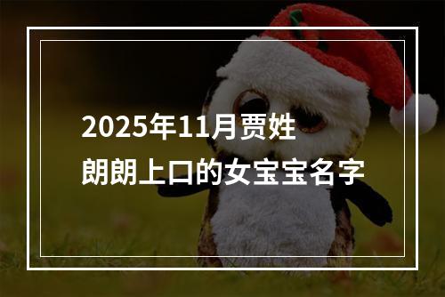 2025年11月贾姓朗朗上口的女宝宝名字
