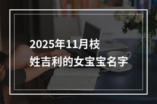 2025年11月枝姓吉利的女宝宝名字