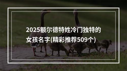 2025额尔德特姓冷门独特的女孩名字(精彩推荐509个)