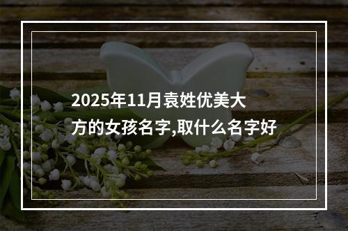 2025年11月袁姓优美大方的女孩名字,取什么名字好