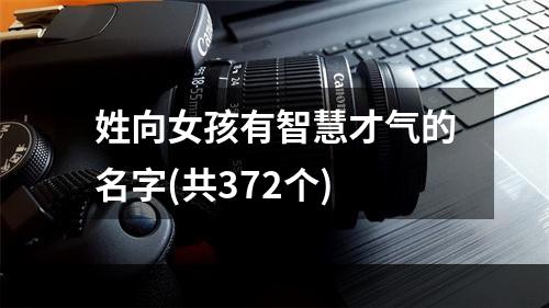 姓向女孩有智慧才气的名字(共372个)