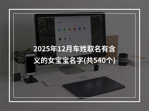 2025年12月车姓取名有含义的女宝宝名字(共540个)