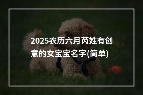 2025农历六月芮姓有创意的女宝宝名字(简单)