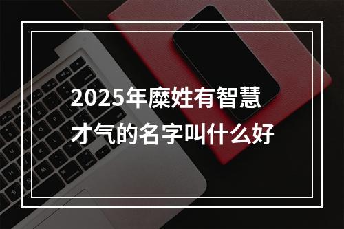 2025年糜姓有智慧才气的名字叫什么好