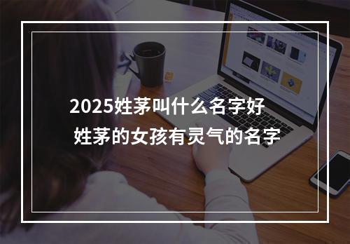 2025姓茅叫什么名字好 姓茅的女孩有灵气的名字