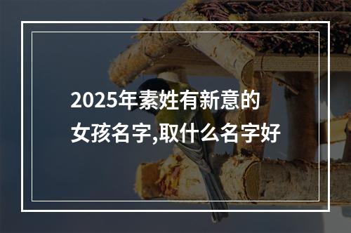 2025年素姓有新意的女孩名字,取什么名字好
