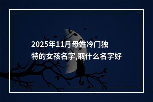 2025年11月母姓冷门独特的女孩名字,取什么名字好