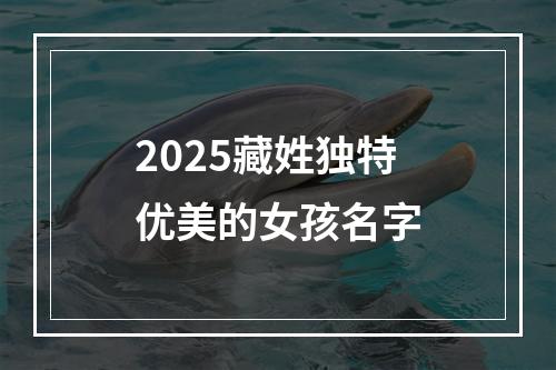 2025藏姓独特优美的女孩名字