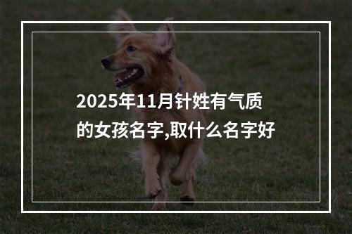 2025年11月针姓有气质的女孩名字,取什么名字好