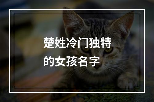 楚姓冷门独特的女孩名字