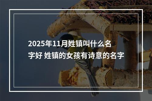 2025年11月姓镇叫什么名字好 姓镇的女孩有诗意的名字
