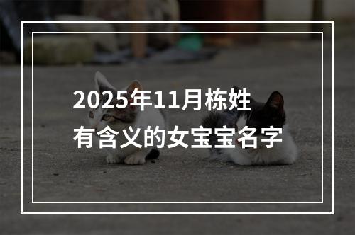 2025年11月栋姓有含义的女宝宝名字