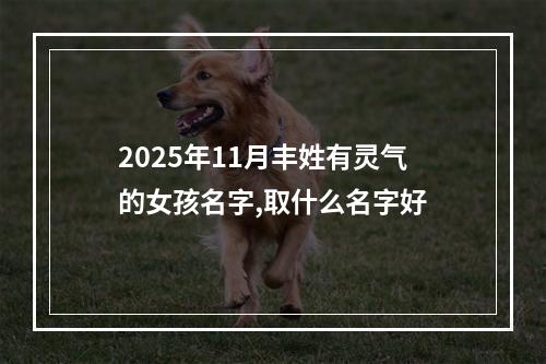 2025年11月丰姓有灵气的女孩名字,取什么名字好