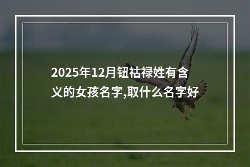 2025年12月钮祜禄姓有含义的女孩名字,取什么名字好