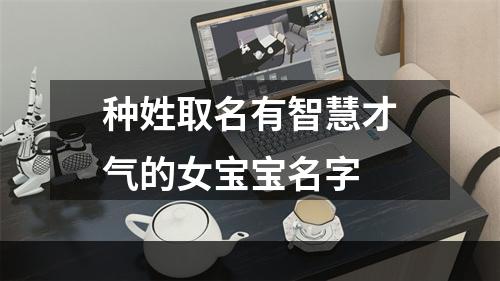 种姓取名有智慧才气的女宝宝名字