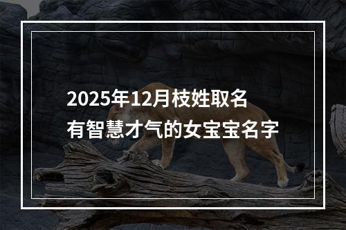 2025年12月枝姓取名有智慧才气的女宝宝名字