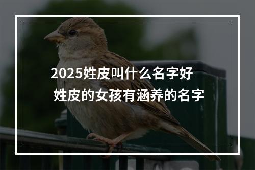 2025姓皮叫什么名字好 姓皮的女孩有涵养的名字