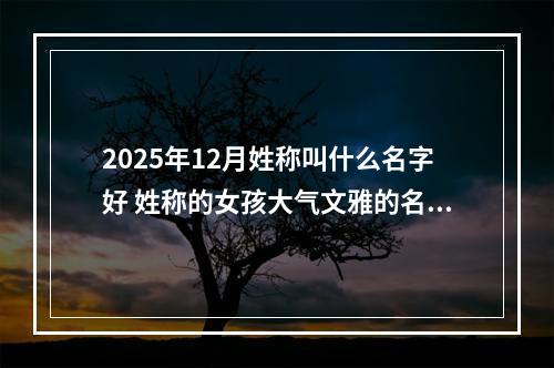2025年12月姓称叫什么名字好 姓称的女孩大气文雅的名字