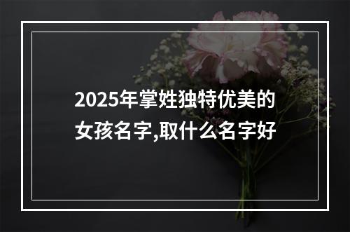 2025年掌姓独特优美的女孩名字,取什么名字好