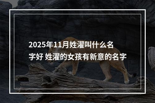 2025年11月姓濯叫什么名字好 姓濯的女孩有新意的名字