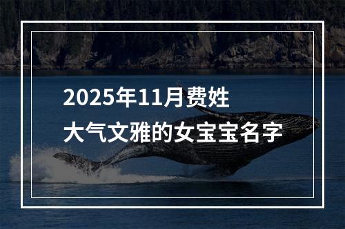 2025年11月费姓大气文雅的女宝宝名字