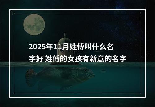 2025年11月姓傅叫什么名字好 姓傅的女孩有新意的名字