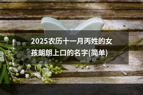 2025农历十一月丙姓的女孩朗朗上口的名字(简单)