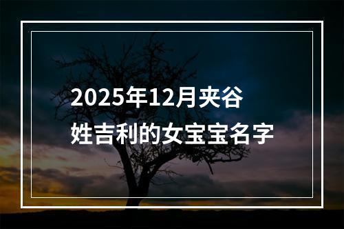 2025年12月夹谷姓吉利的女宝宝名字