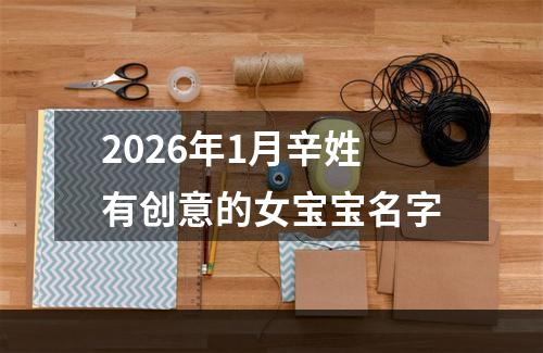 2026年1月辛姓有创意的女宝宝名字
