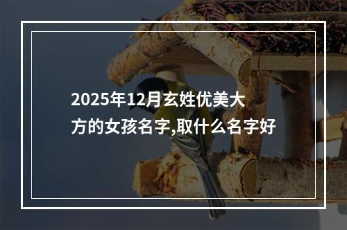 2025年12月玄姓优美大方的女孩名字,取什么名字好