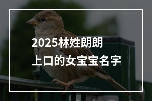 2025林姓朗朗上口的女宝宝名字