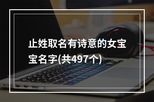 止姓取名有诗意的女宝宝名字(共497个)
