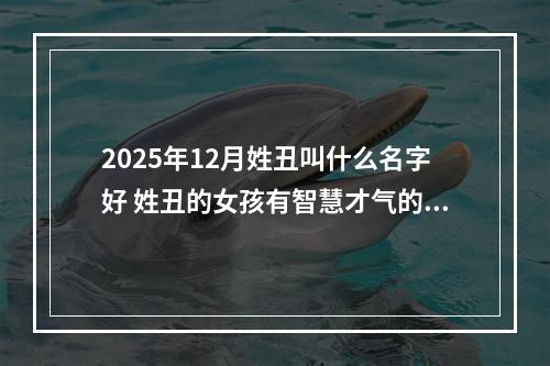 2025年12月姓丑叫什么名字好 姓丑的女孩有智慧才气的名字