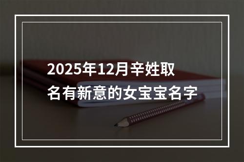 2025年12月辛姓取名有新意的女宝宝名字