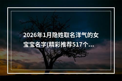 2026年1月隐姓取名洋气的女宝宝名字(精彩推荐517个)