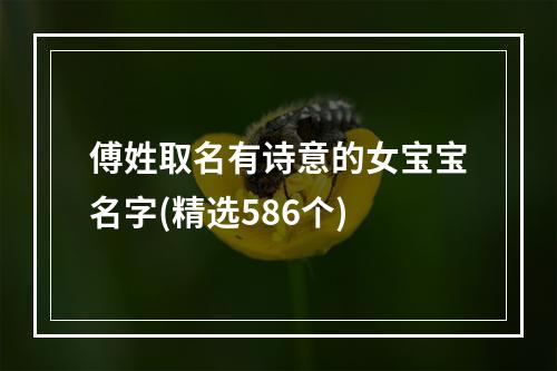 傅姓取名有诗意的女宝宝名字(精选586个)