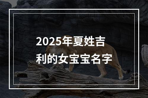 2025年夏姓吉利的女宝宝名字