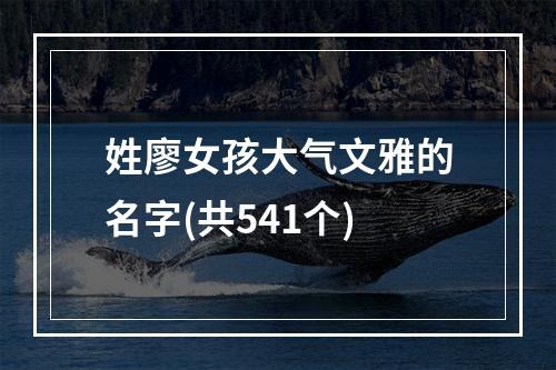 姓廖女孩大气文雅的名字(共541个)