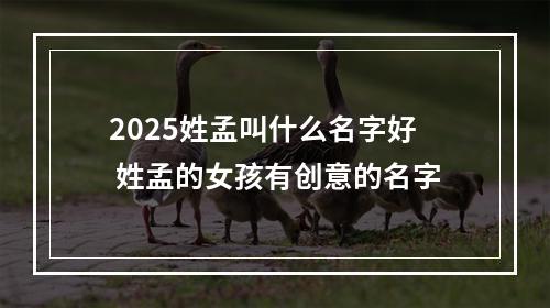 2025姓孟叫什么名字好 姓孟的女孩有创意的名字