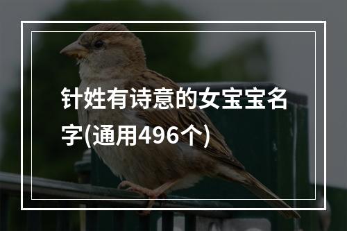 针姓有诗意的女宝宝名字(通用496个)