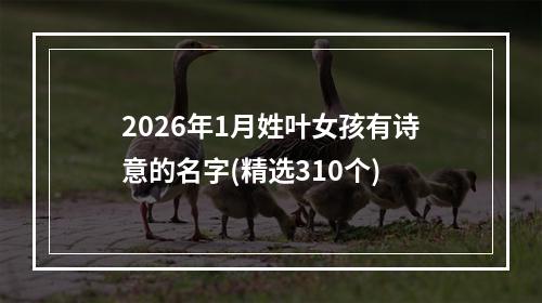 2026年1月姓叶女孩有诗意的名字(精选310个)